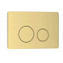 CR05MG кнопка сливного бачка из нержавеющей стали, цвет матовое золото, размер 245 х 165 мм																							